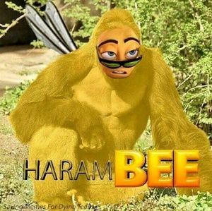 Meet your Posher, Ascencion